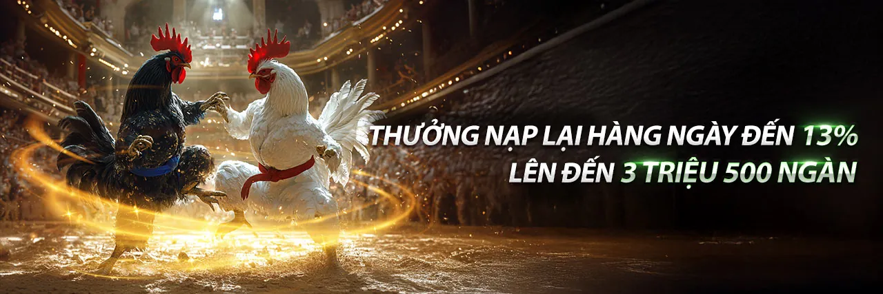 Đấu gà trực tiếp tại Bty522 link vào 2026